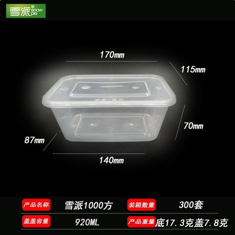 Injection molded rectangular plastic lunch box